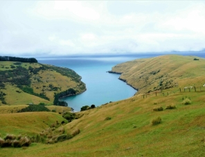 Stunning Akaroa Scenery